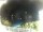 Webcam in Morcone (Elba), 13.6 mi away