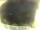 Webcam in Morcone (Elba), 16.7 mi away