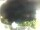 Webcam in Morcone (Elba), 9.9 km entfernt