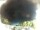 Webcam in Morcone (Elba), 37.8 km