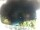 Webcam in Morcone (Elba), 0.8 km