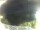 Webcam in Morcone (Elba), 9.9 km entfernt
