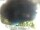 Webcam in Morcone (Elba), 0.6 mi away