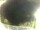 Webcam in Morcone (Elba), 1.6 km