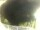 Webcam in Morcone (Elba), 0.6 mi away