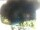 Webcam in Morcone (Elba), 1.6 km entfernt