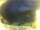 Webcam in Morcone (Elba), 14.6 mi away