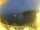 Webcam in Morcone (Elba), 42.6 km