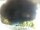 Webcam in Morcone (Elba), 3.8 mi away