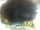 Webcam in Morcone (Elba), 1.5 km entfernt