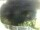 Webcam in Morcone (Elba), 10.3 km entfernt