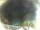 Webcam in Morcone (Elba), 14.6 mi away