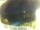 Webcam in Morcone (Elba), 9.5 mi away