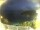 Webcam in Morcone (Elba), 6.6 km entfernt