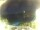 Webcam in Morcone (Elba), 8 mi away