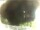 Webcam in Morcone (Elba), 14.6 mi away
