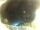 Webcam in Morcone (Elba), 6.9 km entfernt