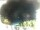 Webcam in Morcone (Elba), 37.8 km