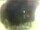 Webcam in Elba - Morcone, 37.8 km