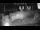 Webcam in Eisenach, 1.2 km