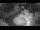Webcam in Eisenach, 17 km