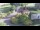 Webcam in Eisenach, 17.2 km
