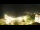 Webcam in Kühlungsborn, 0 mi away