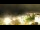 Webcam in Kühlungsborn, 10.3 km entfernt