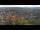 Webcam in Blankenburg (Harz), 32 km entfernt