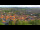 Webcam in Blankenburg (Harz), 12.7 km entfernt