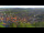 Webcam in Blankenburg (Harz), 12.6 km entfernt