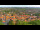 Webcam in Blankenburg (Harz), 13 km entfernt