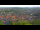 Webcam in Blankenburg (Harz), 5 mi away