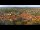 Webcam in Blankenburg (Harz), 13.8 km entfernt