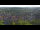 Webcam in Blankenburg (Harz), 14.2 mi away