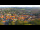 Webcam in Blankenburg (Harz), 5 mi away