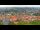 Webcam in Blankenburg (Harz), 12.7 km entfernt