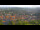 Webcam in Blankenburg (Harz), 32 km