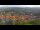 Webcam in Blankenburg (Harz), 36.9 km