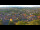 Webcam in Blankenburg (Harz), 12.7 km entfernt