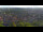Webcam in Blankenburg (Harz), 12.9 km