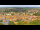 Webcam in Blankenburg (Harz), 35 km entfernt