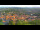 Webcam in Blankenburg (Harz), 13.8 km