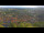 Webcam in Blankenburg (Harz), 4.9 mi away