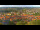 Webcam in Blankenburg (Harz), 4.9 mi away