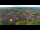 Webcam in Blankenburg (Harz), 12.6 km