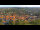 Webcam in Blankenburg (Harz), 49.1 km