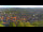 Webcam in Blankenburg (Harz), 13.5 mi away