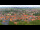 Webcam in Blankenburg (Harz), 13.5 mi away
