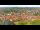 Webcam in Blankenburg (Harz), 4.9 mi away